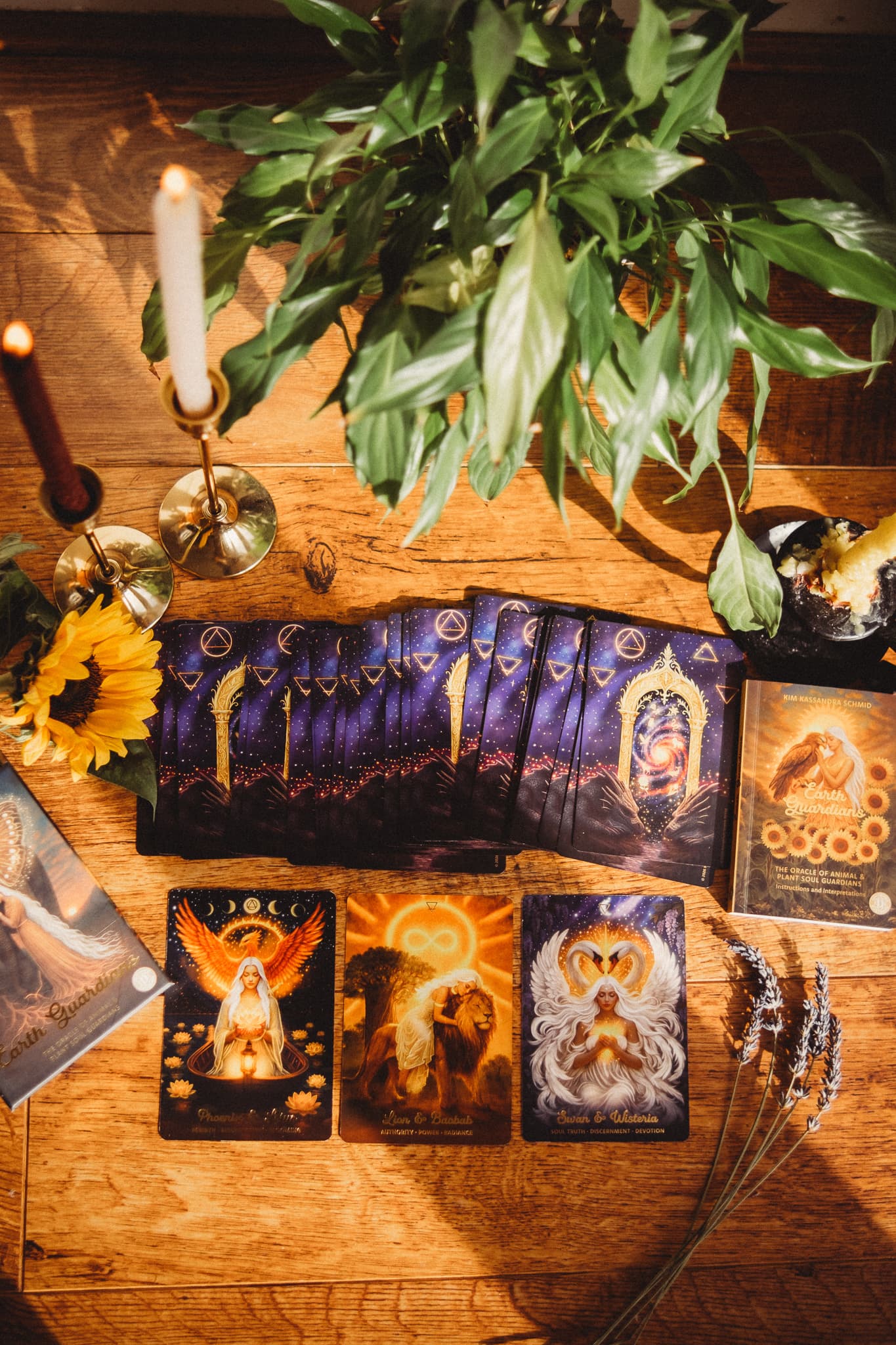Earth Guardians Oracle 1